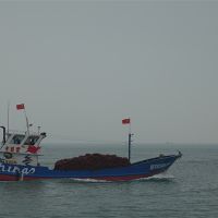 建設時產6000噸骨料系統、3.5公里廊道、配套3000萬噸碼頭！中電建廣東陽江大礦來了