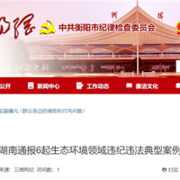 超時、超量、越界采砂!湖南通報6起生態(tài)環(huán)境領域違紀違法典型案例 2起與砂石有關!