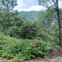 2礦同出!260萬(wàn)方/年!廣東砂石大礦掛牌出讓